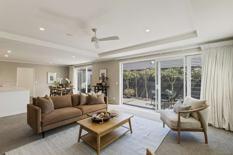 175A Carrington Street Lower Vogeltown_7