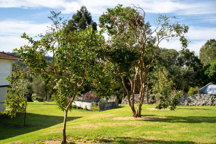 28 Nisbet Road Maungatapere_41