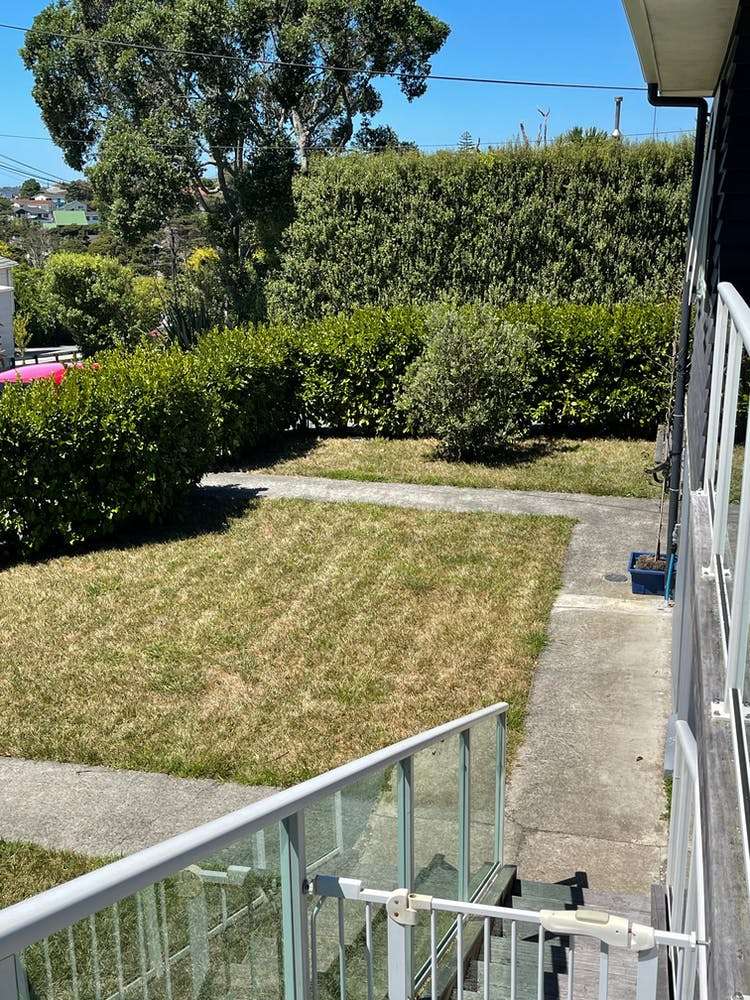 29 South Lynn Road Titirangi_20