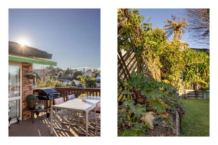 3 Te Koari Drive Brookfield_10