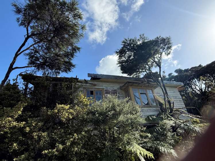 328 Blind Bay Road Great Barrier Island (Aotea Island)_7