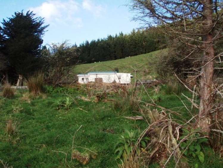 18 Kirk Street Matawai_5