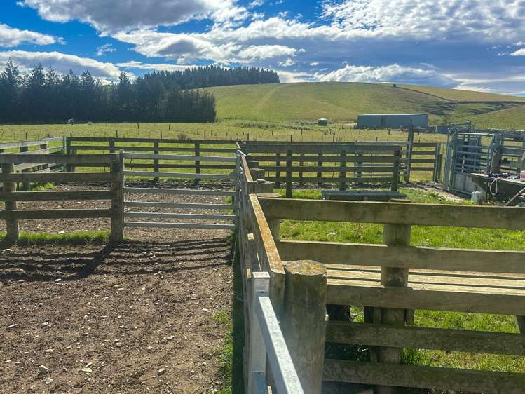 465 Moncurs Road Heriot Clutha Rural Property For Sale One Roof