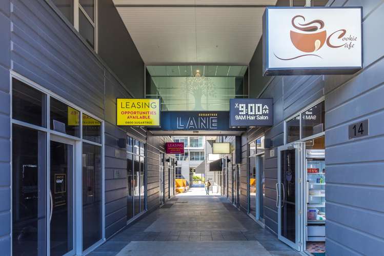 103/27 Union Street Auckland Central_9