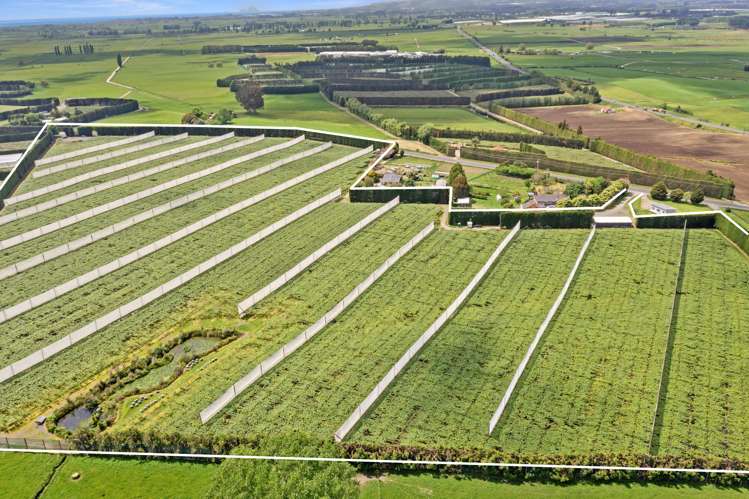 23 Wilson Road North Paengaroa_5