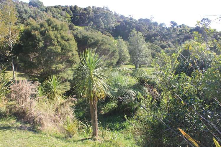 Wainui Road Whangaroa_6