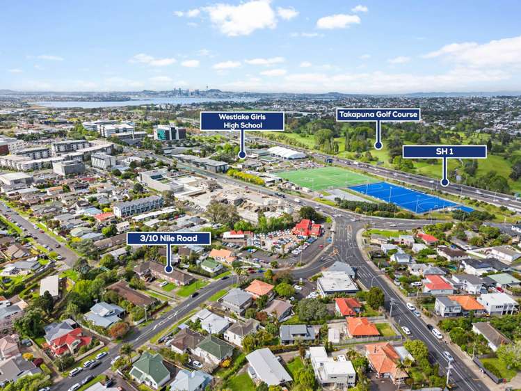 3/10 Nile Road Milford_14