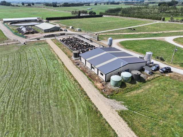 Dairy Operation in Edendale