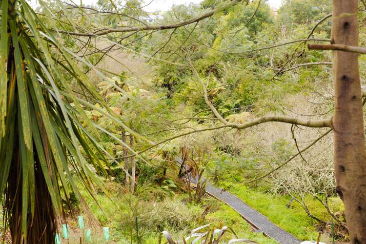 55 Edgeview Crescent Fitzroy_21