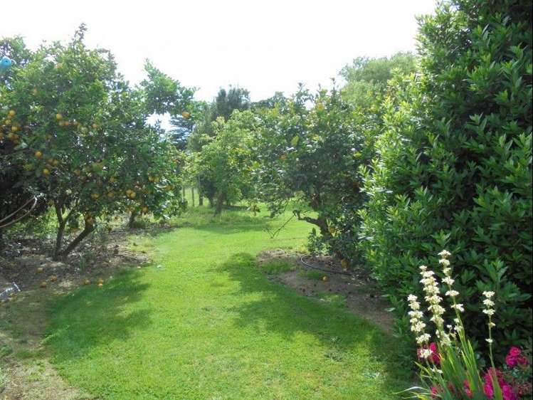 501 Kawiu Road Levin_9