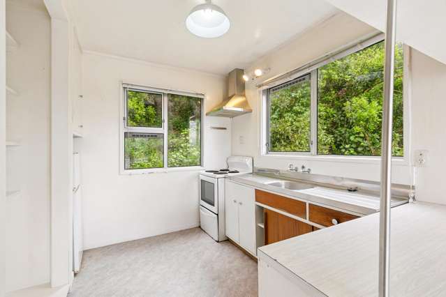 110c Grafton Road Roseneath_4