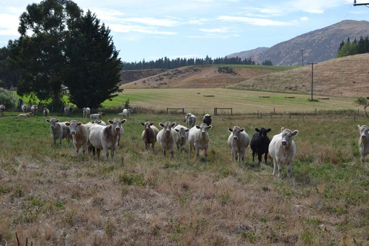 74 Topps Road Rotherham_10