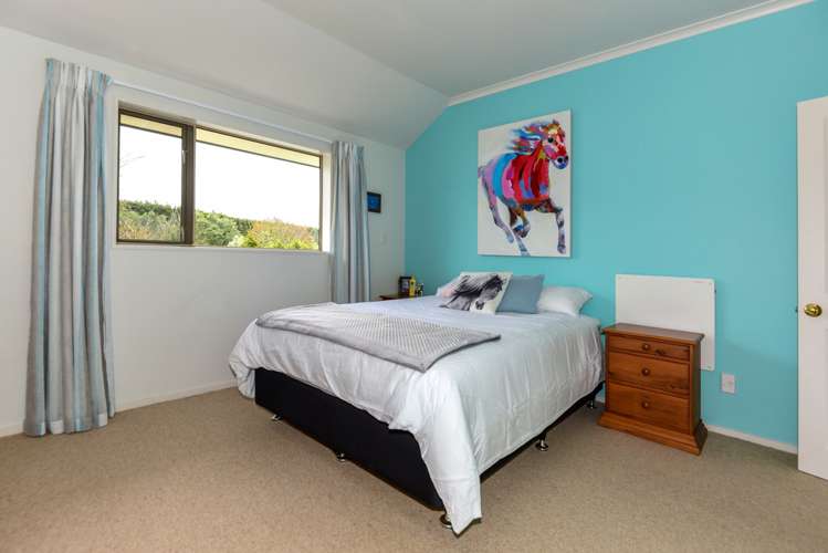 776 Courtenay Road Darfield_13