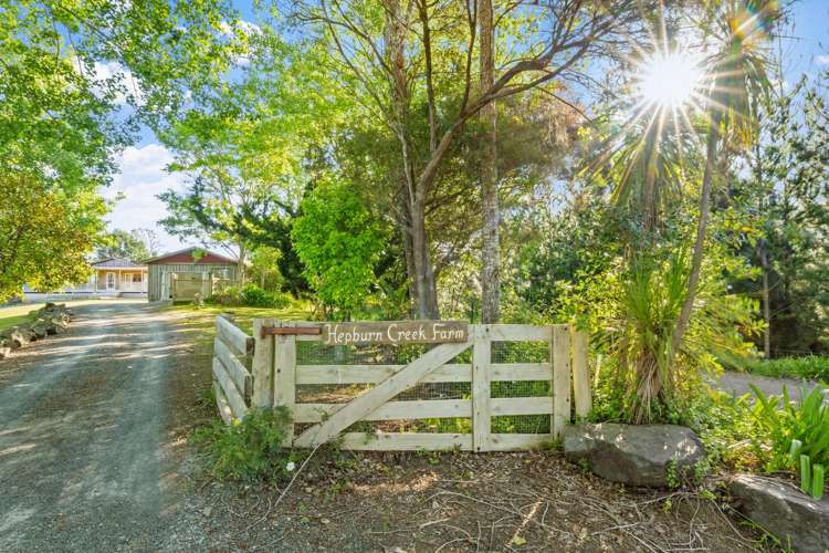321 Hepburn Creek Road Warkworth_27