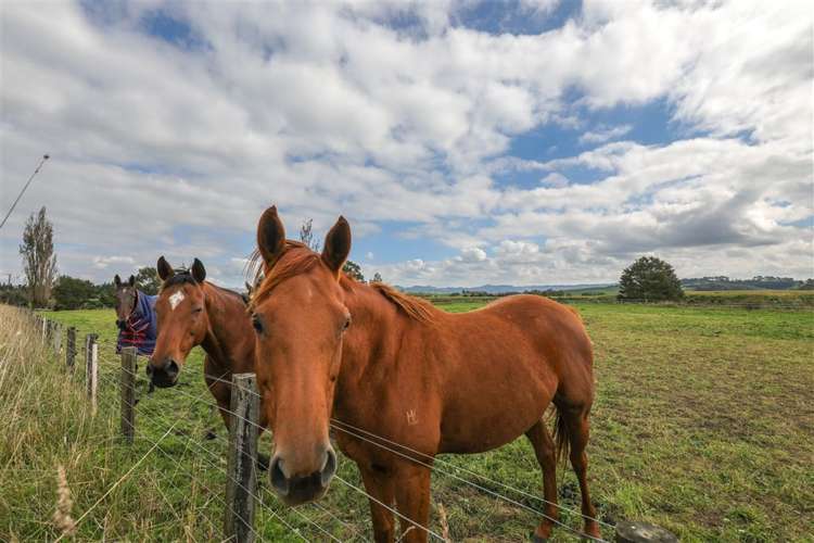 38 Blackett Road Whatawhata_29