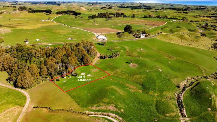 183 Warea Road Warea_6