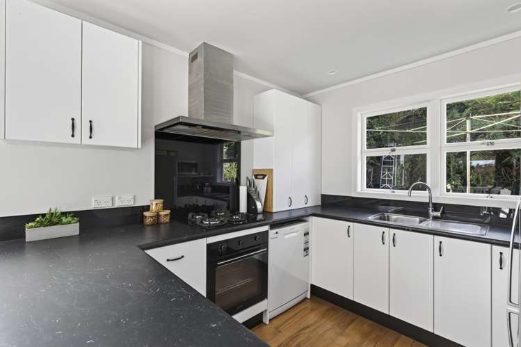 48 Essex Street Vogeltown_10