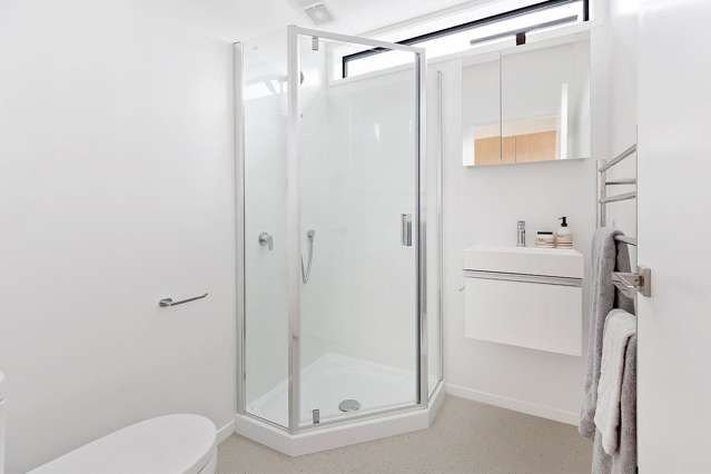 46B Camperdown Road Miramar_4