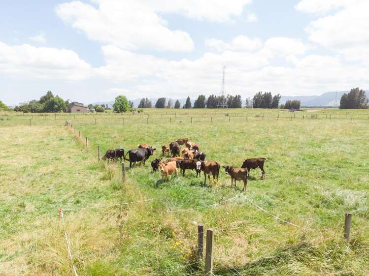 565 Hauraki Road Turua_17