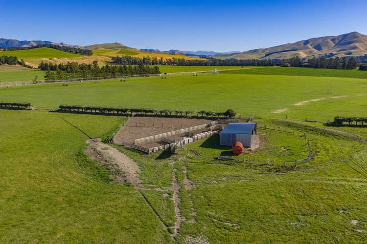537 Mount Brown Road Broomfield_15