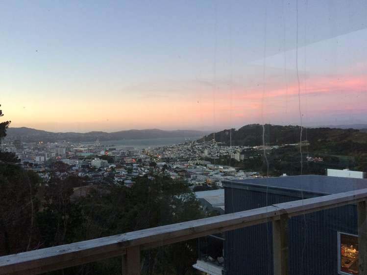 4 Pearce Street Vogeltown_11