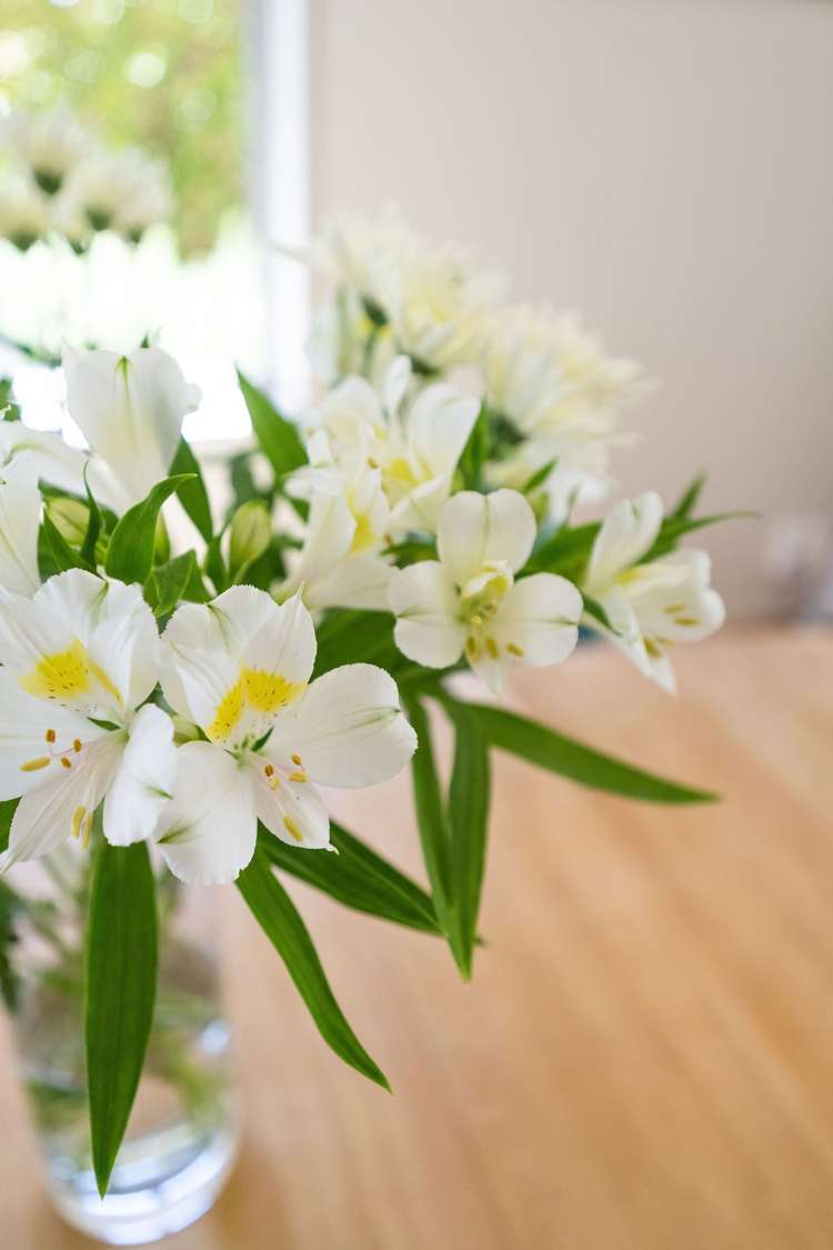 49 Country Palms Drive Halswell_28