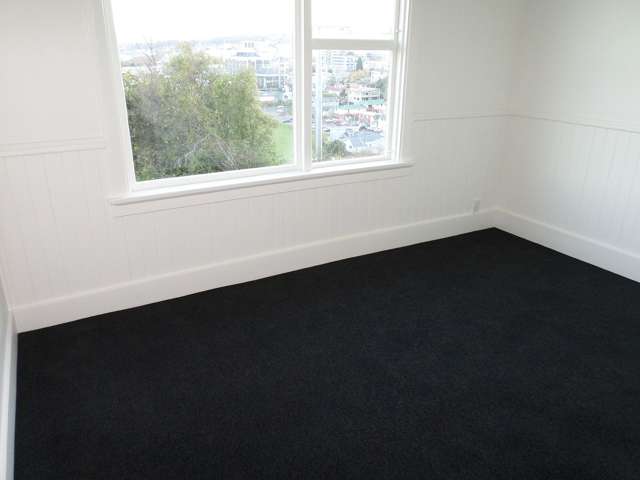 1 St Abbs Place North Dunedin_2