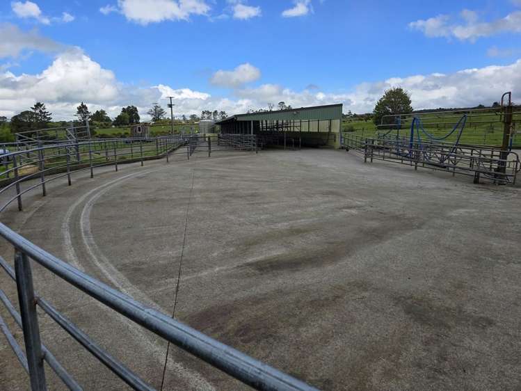 452 Surrey Road Rd 8_12