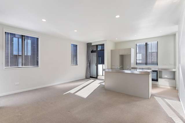 60 Harold Street Mount Eden_3