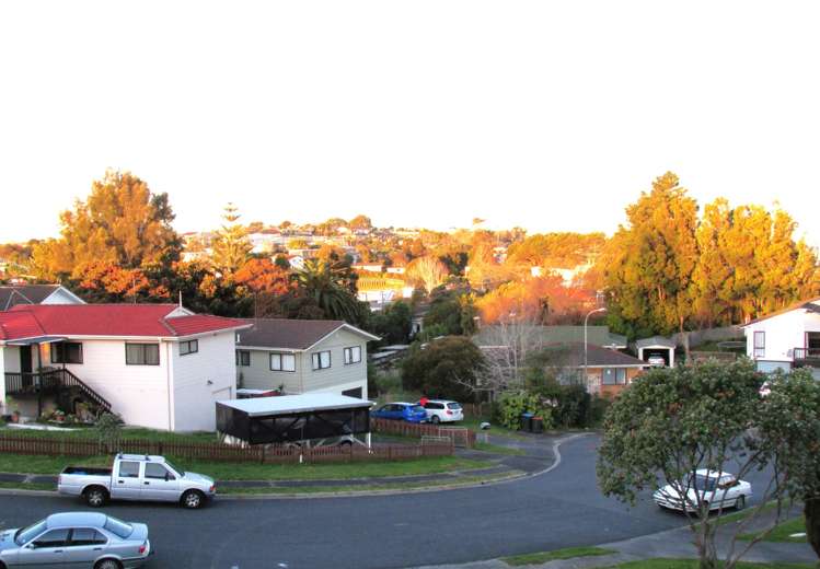 15A Halleys Place Mount Roskill_15
