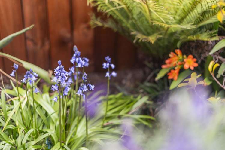 16 Riverside Road Orewa_28