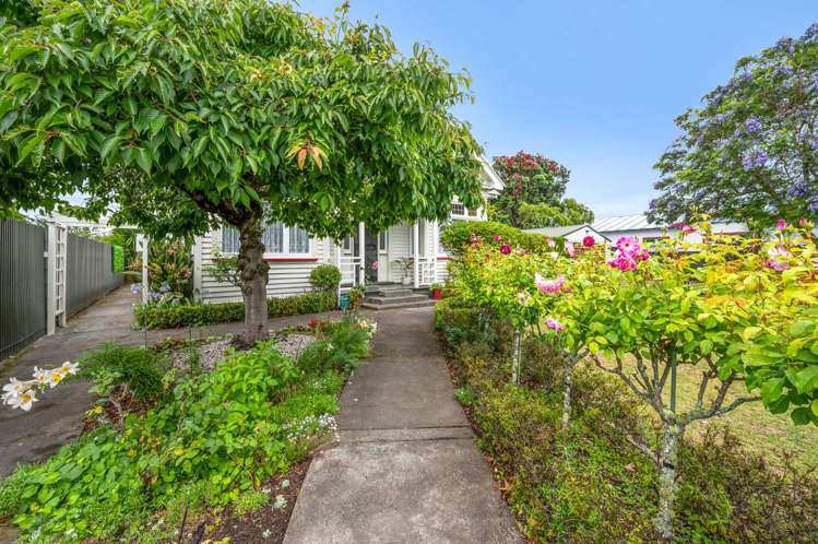 118 Vigor Brown Street Napier South_2