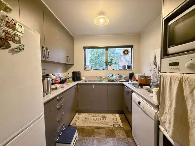 5/97 Queen Street North Dunedin_1
