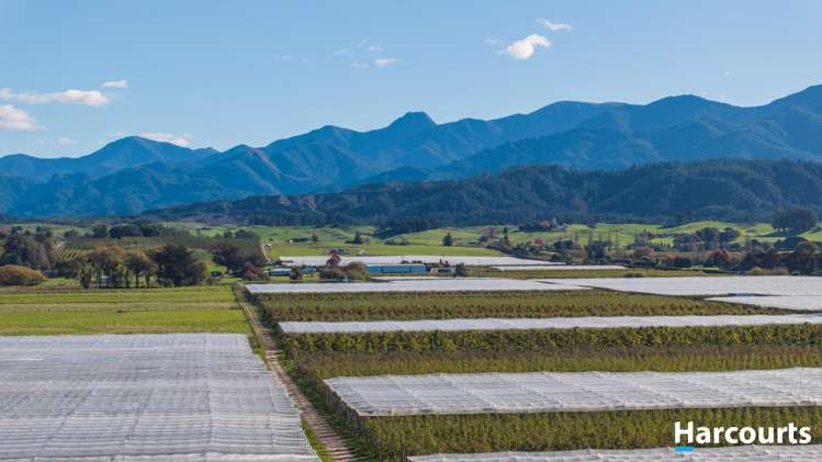 2514 Moutere Highway Lower Moutere_26