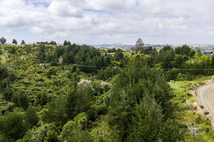 3044 Paparoa-Oakleigh Road, Paparoa Paparoa_22