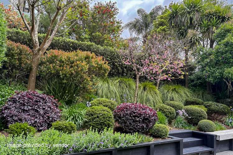5 Portland Park Road Millwater_28