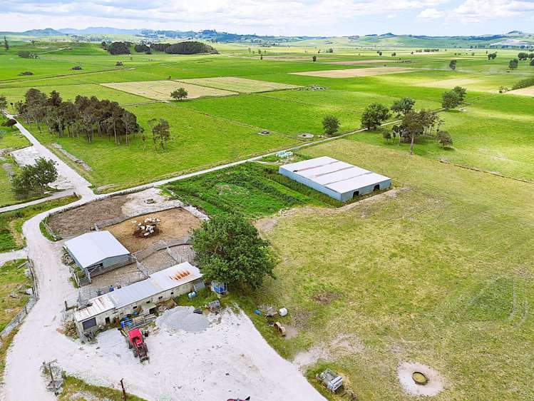 87 Tramline Road Ruawai_15