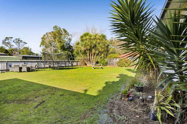 67a Rata Street Inglewood_21