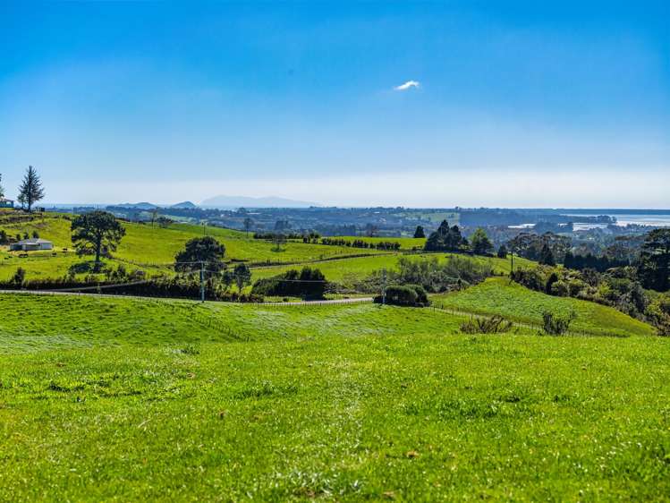 383 Busby Road Katikati_29