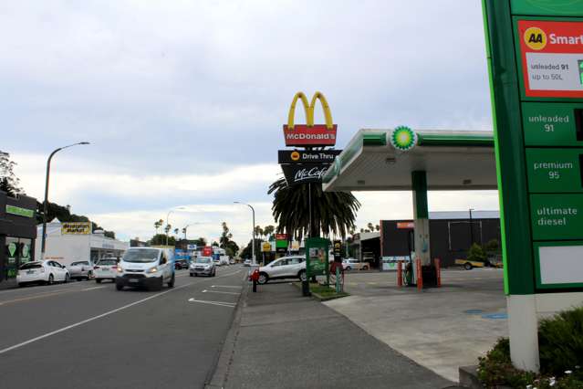 44 Carlyle Street Napier South_2