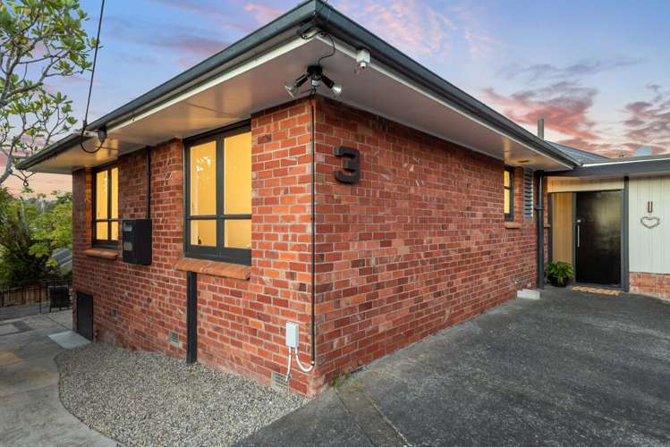 3 Spencer Terrace Hauraki_8