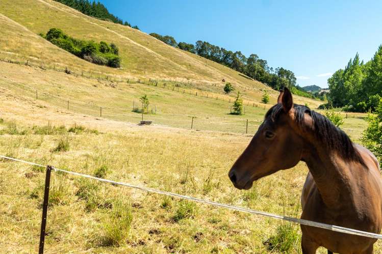 300 Sunday Creek Road Thorpe_40