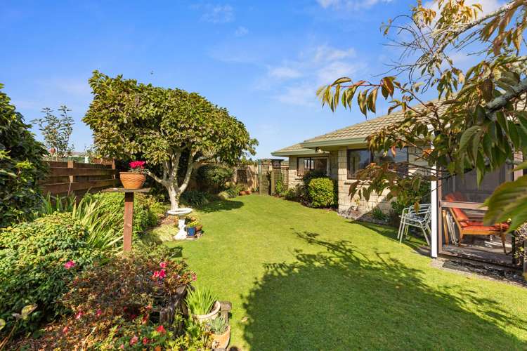 26b Hibiscus Avenue Mount Maunganui_17