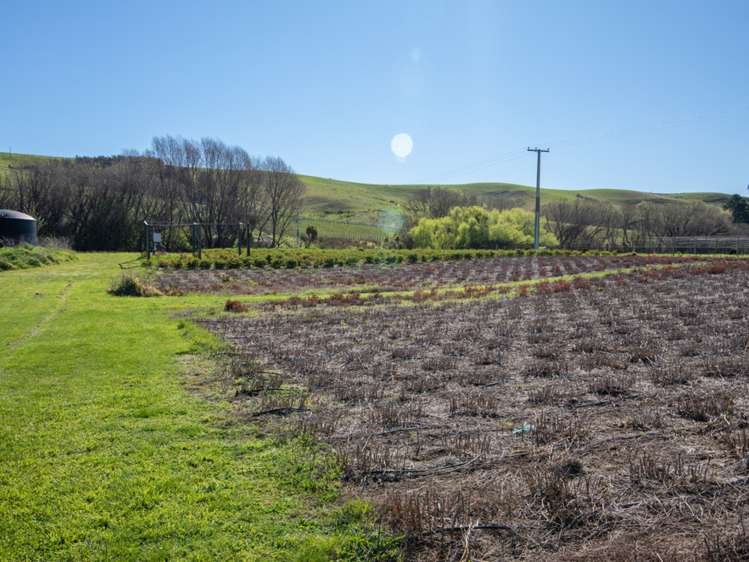 39 Kahu Way Hawkesbury_28