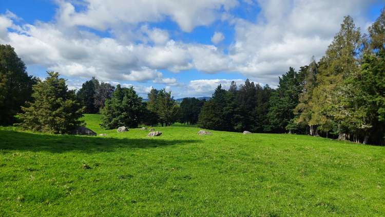 311b Akerama Road Hukerenui and Surrounds_36