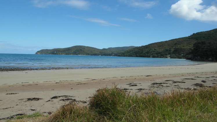330 Shoal Bay Road Great Barrier Island (Aotea Island)_7