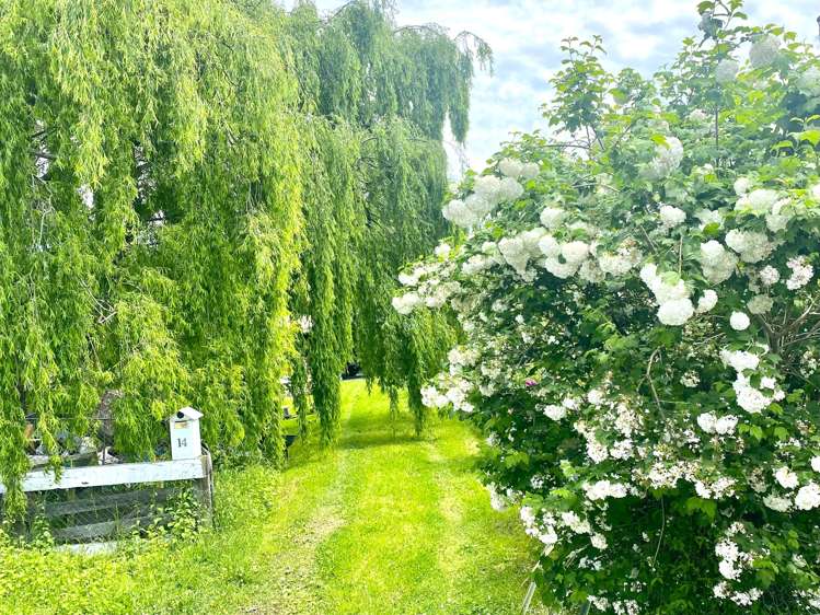 16 Eagle Street Waipawa_20