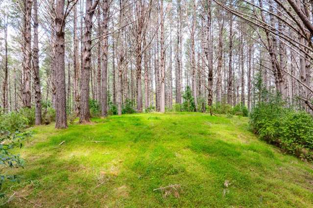 Taraunui Road Parua Bay_2