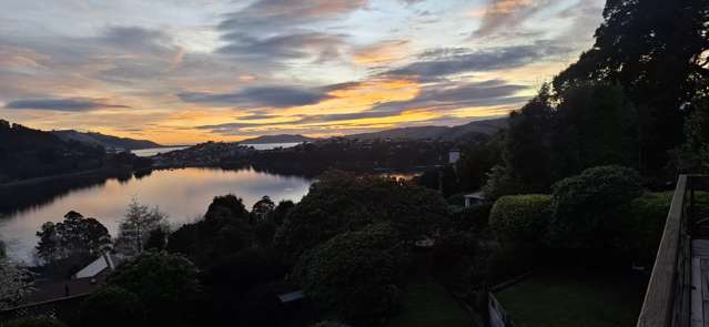 31 District Road Roseneath_3