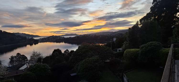 31 District Road Roseneath_3